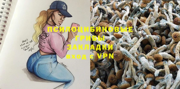 амф Алзамай