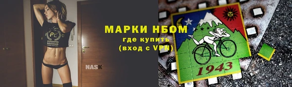 амф Алзамай
