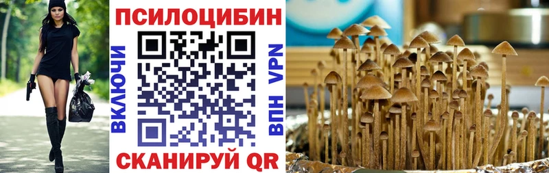 Галлюциногенные грибы ЛСД где можно купить Спасск